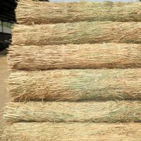 草簾子多少錢一米，上海浦東草簾子多少錢一米