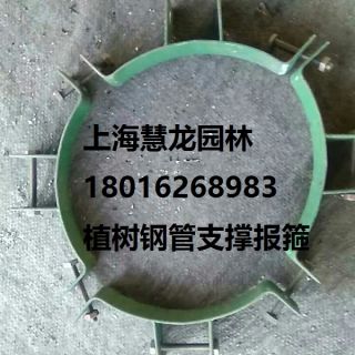大樹報箍，植樹支撐報箍，鋼支撐報箍