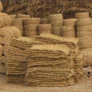 上海綠化草繩草包批發(fā)零售，土球繩，繞樹(shù)繩